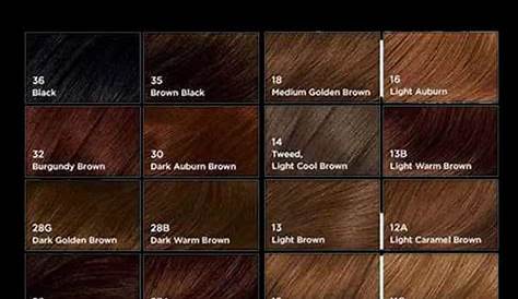 hair color chart lace front wig shop - a hair color chart to get