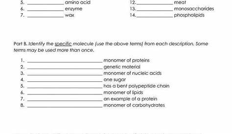 printable worksheets for 8th grade biology