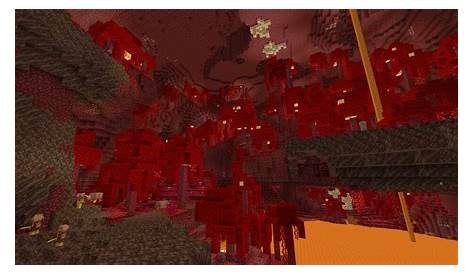 A Guide To The Modern Nether | OneBlock MC