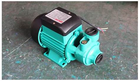 Pm60 Domestic Electric Peripheral Shimge Water Pump For Sale - Buy
