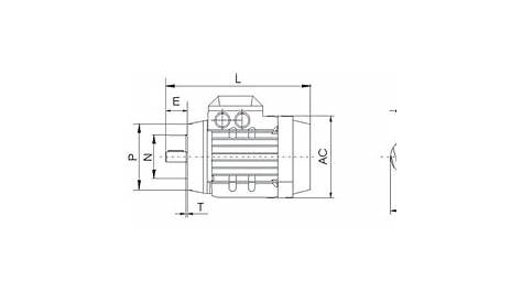 YE2 Series AC Induction Motor | Three Phase Electric Motor Provider