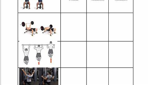 movement of the body worksheet