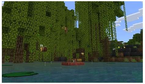 how to find mangrove swamp minecraft