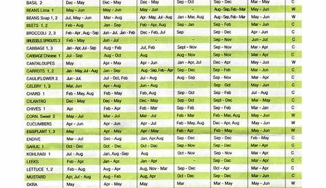 herb garden herb companion planting chart