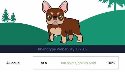 dna color chart for french bulldogs