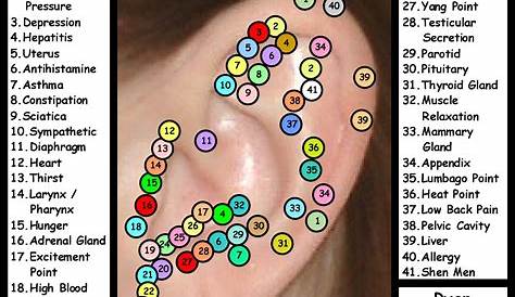 ear seeds acupuncture chart