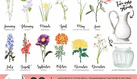 Birth Month Flowers Clipart Watercolor Floral PNG Bundle DIY | Etsy in