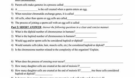 Meiosis Worksheet Answer Key Form - Fill Out and Sign Printable PDF
