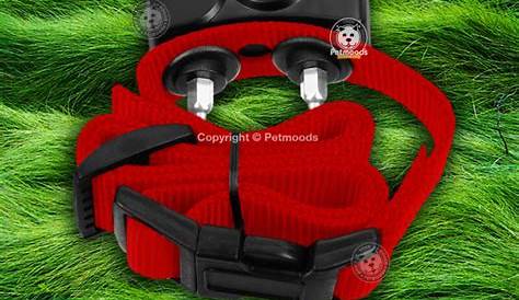 PetSafe Extra Wireless Fence Collar For PIF-300 PIF27519 PIF-275-19