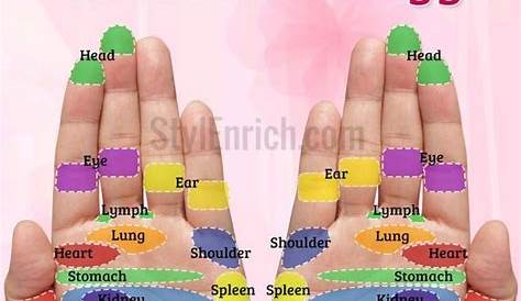 reflexology chart for hands