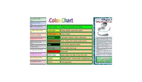 The Truth About ion foot detox color chart | foot detox machine|ionic