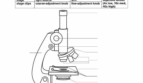 label parts of a microscope worksheets