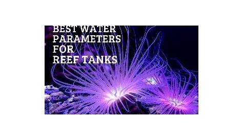 water parameters for freshwater aquarium