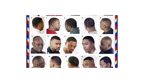 Pin on Barber Hairstyle Charts