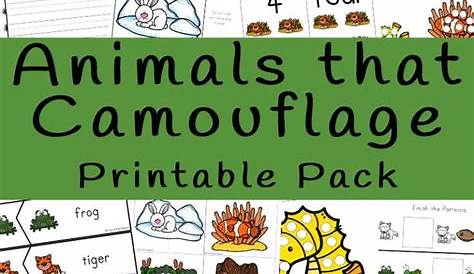 grade 1 animal camouflage worksheet
