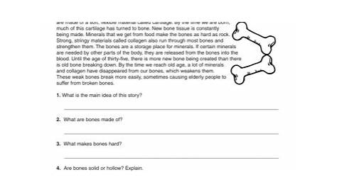 16 Best Images of Fourth Grade Reading Comprehension Worksheets - 4th
