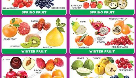 fruits and vegetables season chart