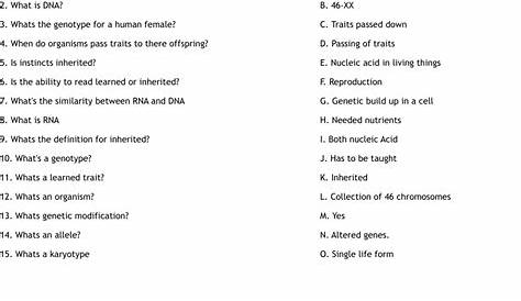Genetic Matching Worksheet - WordMint