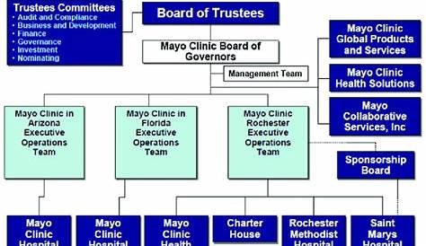 Organizational Chart of Leadership at the Mayo Clinic (the parent