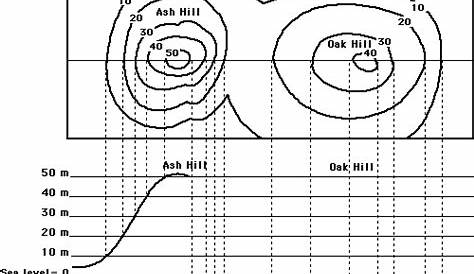 reading topographic maps worksheets