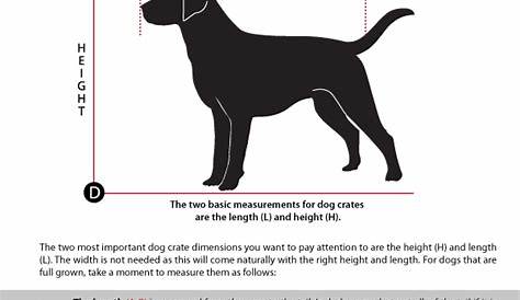 Pin by Shannon Dyson on + dogs + | Dog crate sizes, Dog crate, Safe dog