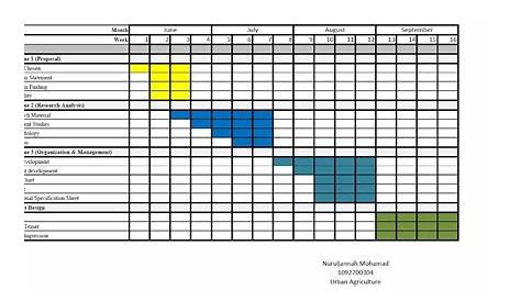 gantt chart for building project