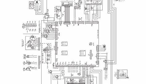 raypak wiring diagram