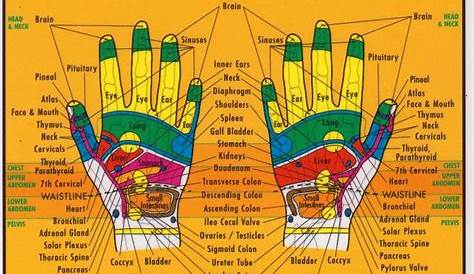 printable hand reflexology chart