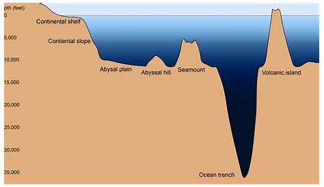 Ocean Floor Features You Should Know About • Earth.com • Earthpedia
