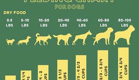 Complete Guide To Understanding How Much I Should Feed My Dog | Bark