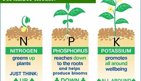 plant food fertilizer chart