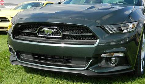 Guard 2015 Ford Mustang GT Fastback