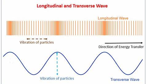 longitudinal wave examples in science