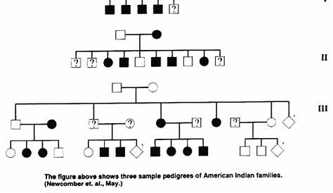 Genetics Pedigree Worksheet Answer Key / Pedigree Studies Worksheet