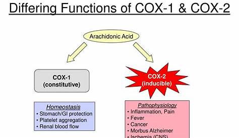 PPT - Inflammation and Cancer The Significance of COX-2 PowerPoint