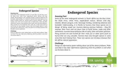 Endangered Animals in South Africa - Teacher-Made Worksheet