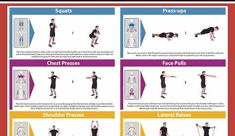 the best printable resistance band exercise chart pdf ruby website