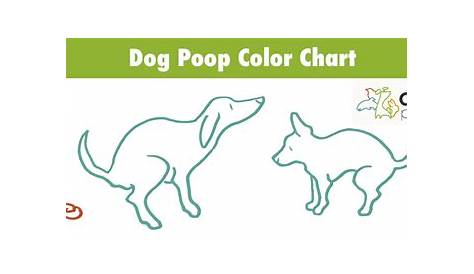 Dog Poop Color Chart, What Does Their Poo Color Mean?