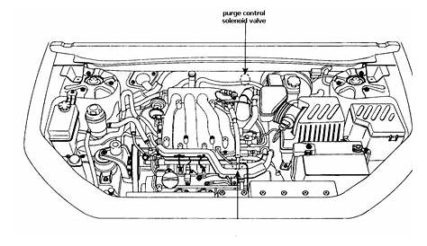 01 Hyundai Santa Fe Engine Diagram | Get Free Image About Wiring Diagram