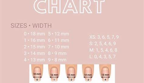 Size Chart • Press On Nails | Nail sizes, Glue on nails, Press on nails