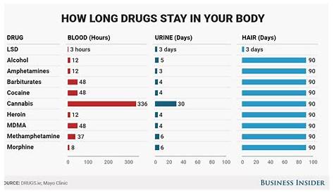 How long various drugs stay in your body - Business Insider