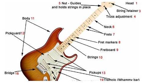 Parts of an electric guitar - What makes a electric guitar unique.
