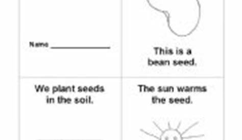 Life Cycle Of A Seed Worksheets