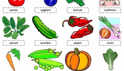 Vegetables Worksheet For Kindergarten : Worksheets On Fruits And