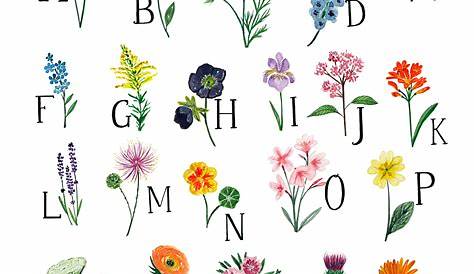 alphabet list of flowers