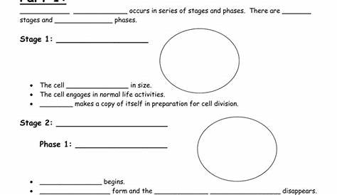 mitosis and cell cycle worksheet
