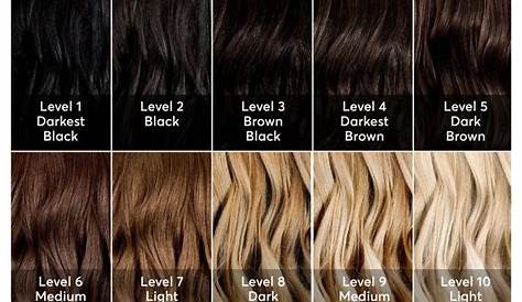 Hair Color Levels: A Complete Guide for You | Blonde hair color chart
