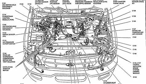 Ford F150 Wiring Harnes Diagram - All of Wiring Diagram