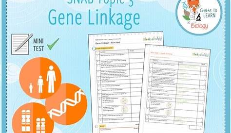 Gene Linkage - Mini-test (KS5) | Teaching Resources