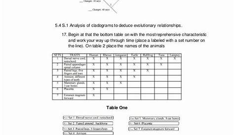 Cladogram Worksheet Answers Key Lovely 5 4 Cladisticc | Worksheets